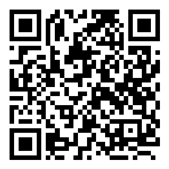 Android Version